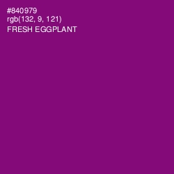 #840979 - Fresh Eggplant Color Image